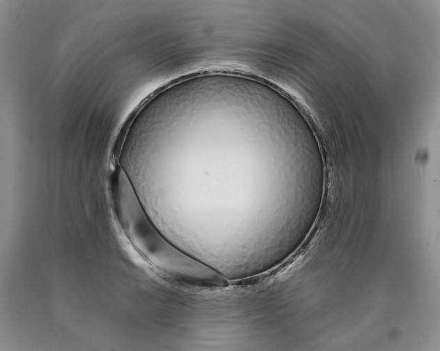 X0000089931038200707271753