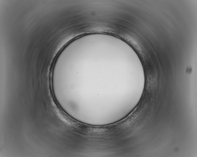 X0000089931039200707271753