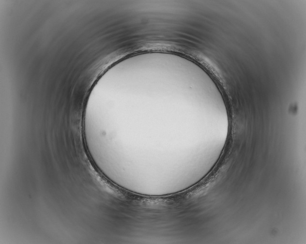 X0000089931041200707271753