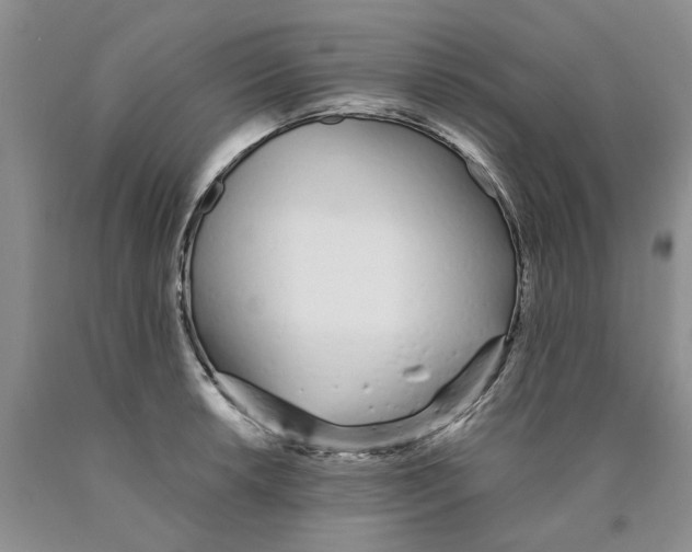 X0000089931042200707271753