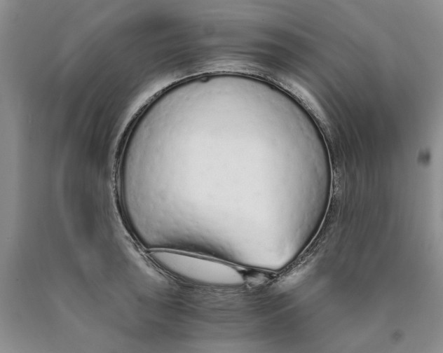 X0000089931043200707271753