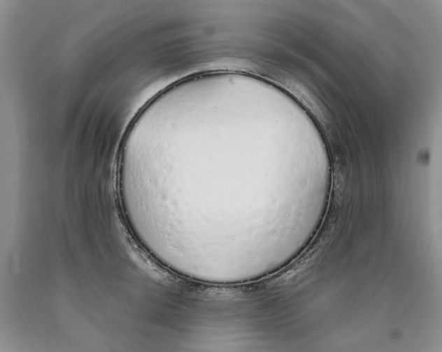 X0000089931044200707271753