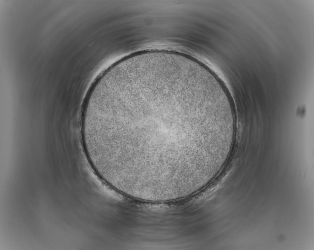 X0000089931045200707271753