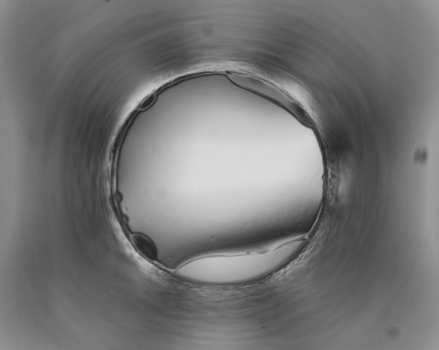 X0000089931046200707271753