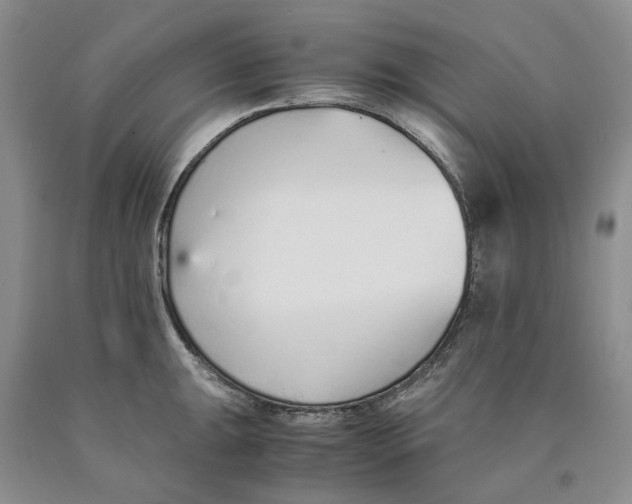 X0000089931047200707271753