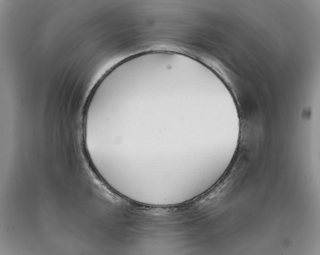 X0000089931048200707271753