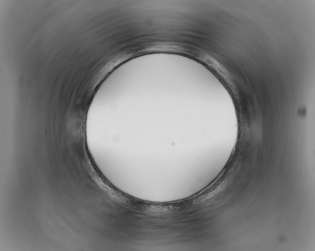 X0000089931049200707271753