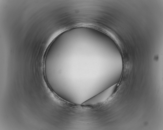 X0000089931050200707271753