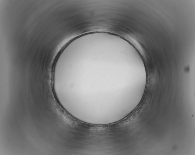 X0000089931051200707271753