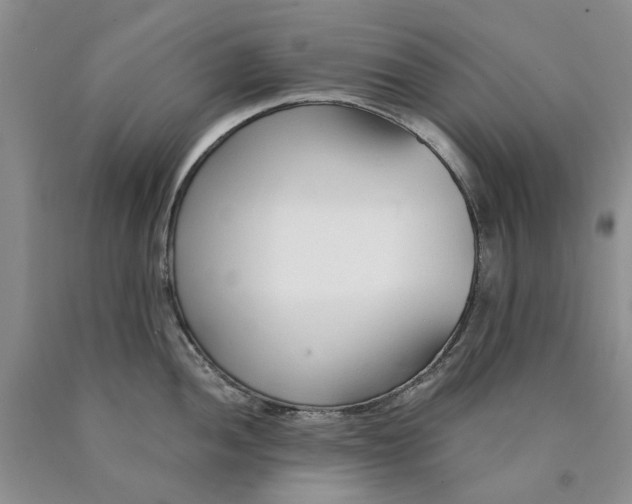 X0000089931052200707271754