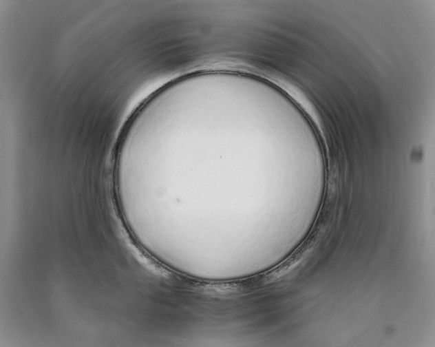 X0000089931053200707271754