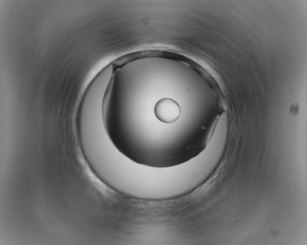 X0000089931054200707271754