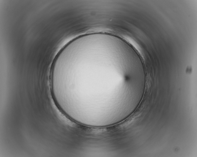 X0000089931055200707271754