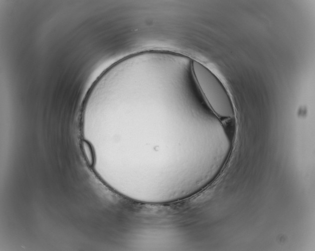 X0000089931056200707271754