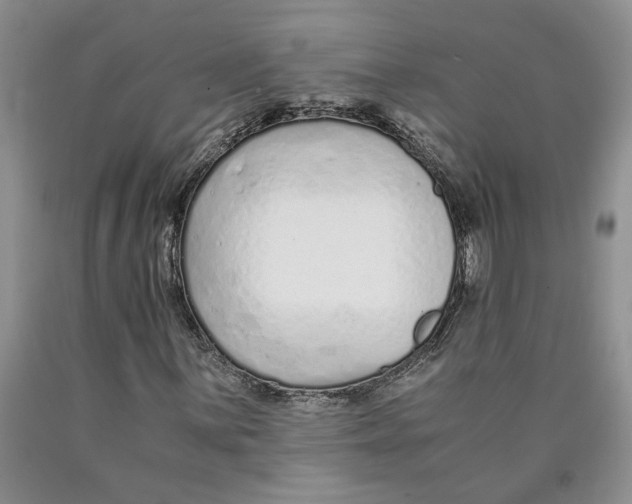 X0000089931059200707271753