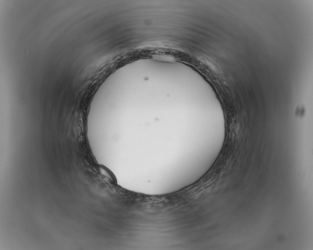 X0000089931062200707271753