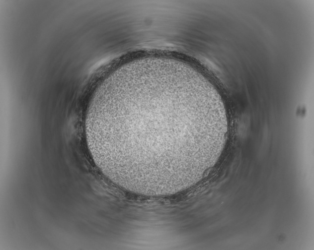 X0000089931063200707271753