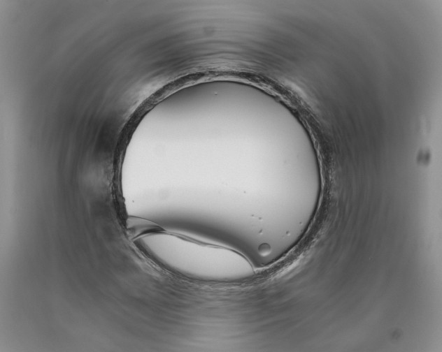 X0000089931065200707271753