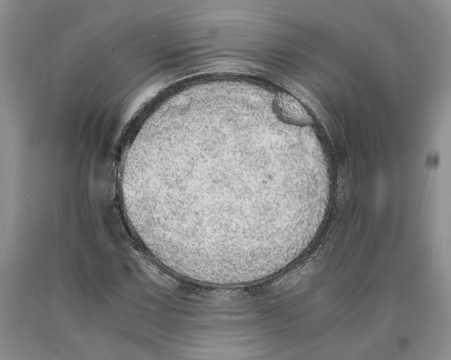 X0000089931067200707271753