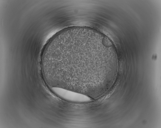 X0000089931071200707271753