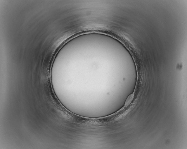 X0000089931073200707271753