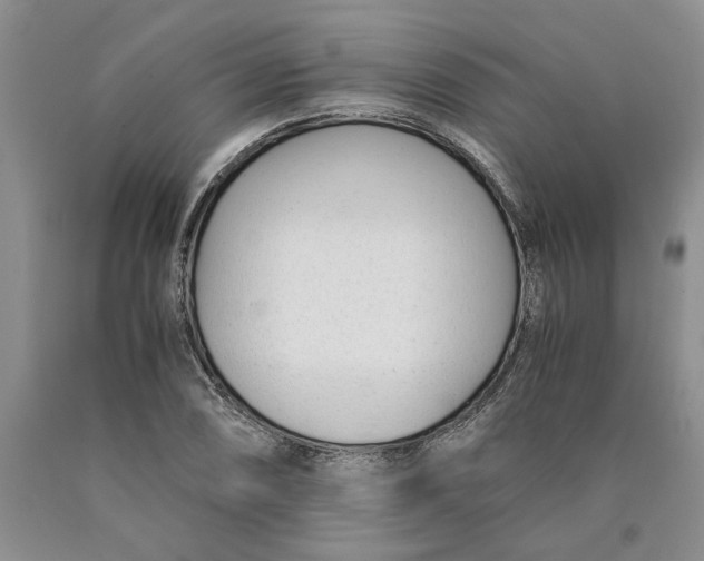 X0000089931074200707271753