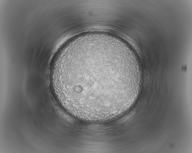 X0000089931075200707271753