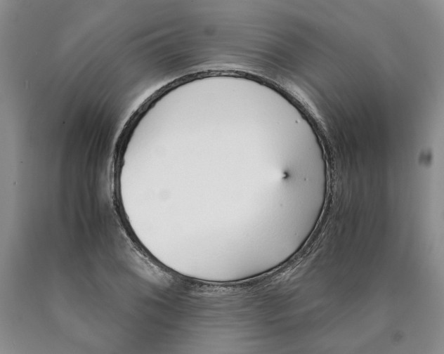 X0000089931076200707271753