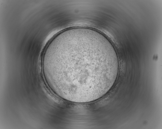 X0000089931078200707271753