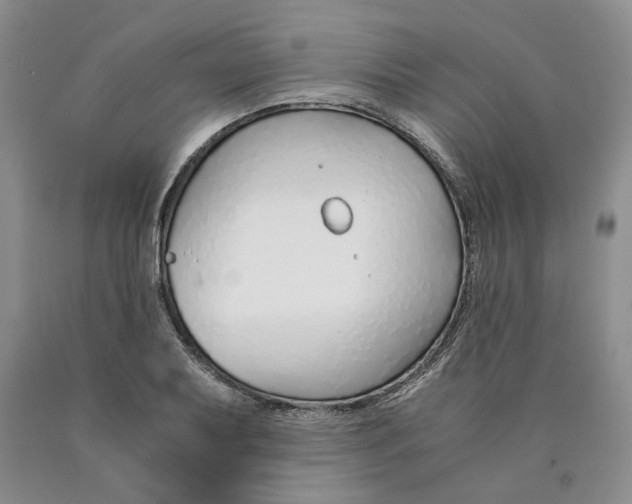 X0000089931079200707271753