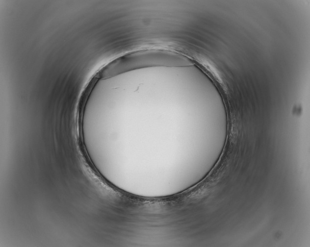 X0000089931080200707271753