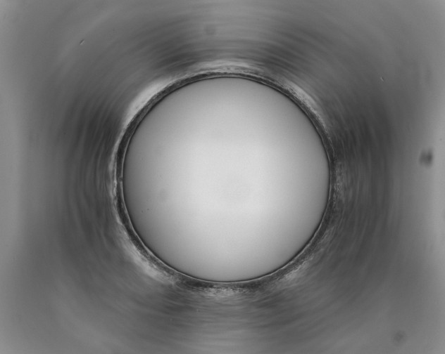 X0000089931082200707271753