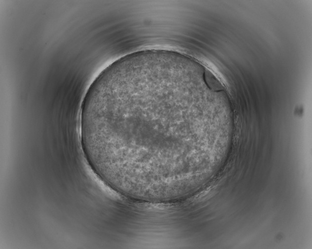 X0000089931084200707271753