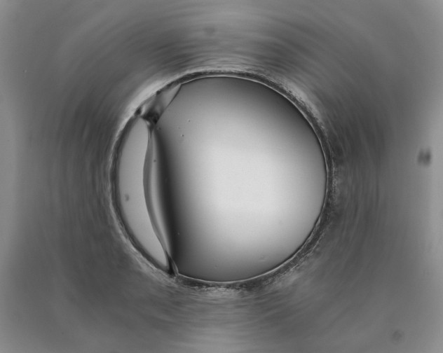 X0000089931085200707271753