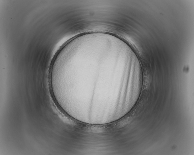 X0000089931086200707271753