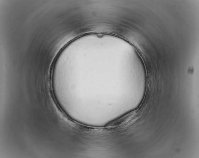 X0000089931087200707271753