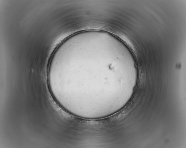 X0000089931088200707271752