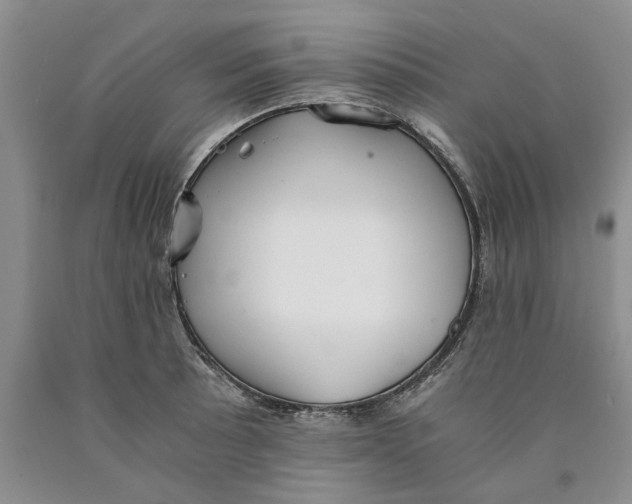 X0000089931089200707271752