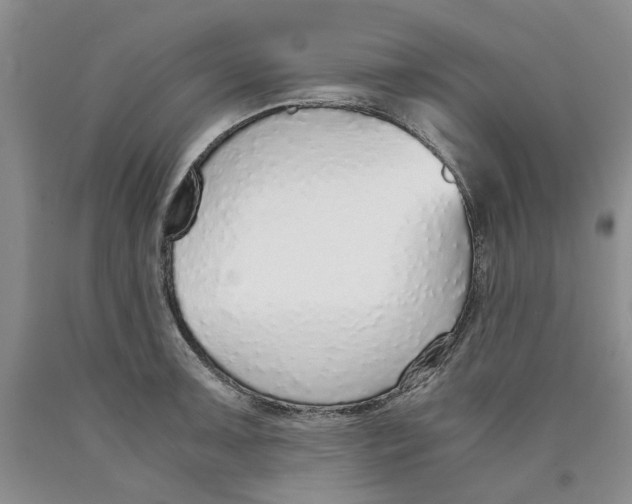 X0000089931091200707271752