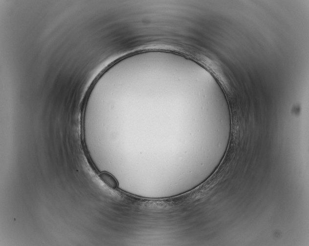 X0000089931092200707271752