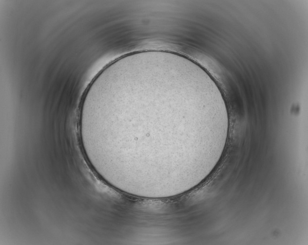 X0000089931094200707271752