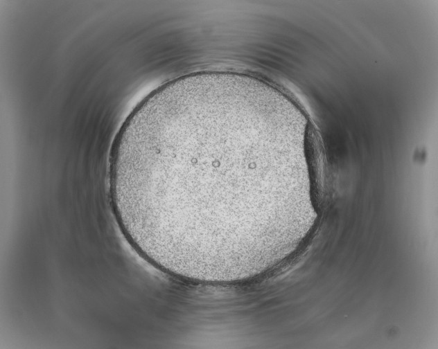 X0000089931095200707271752