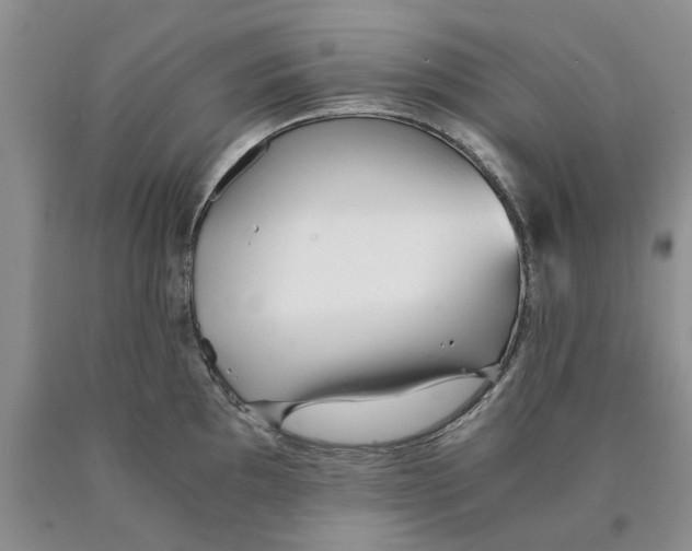 X0000089931097200707271752