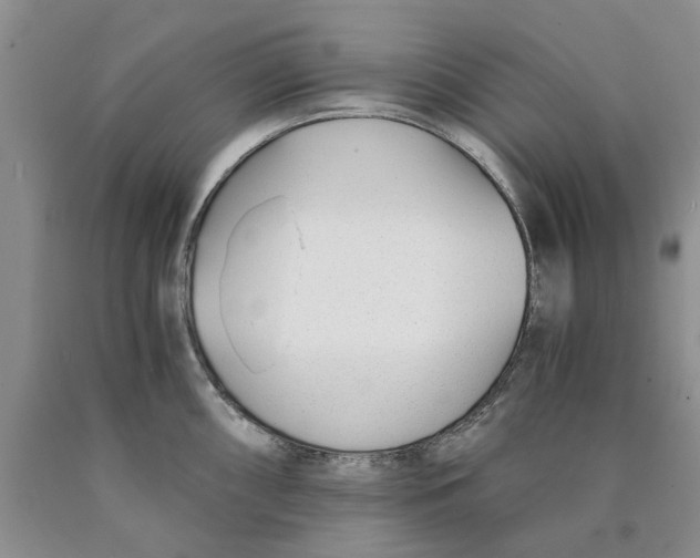 X0000089931098200707271752