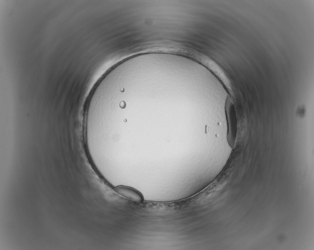 X0000089931099200707271752