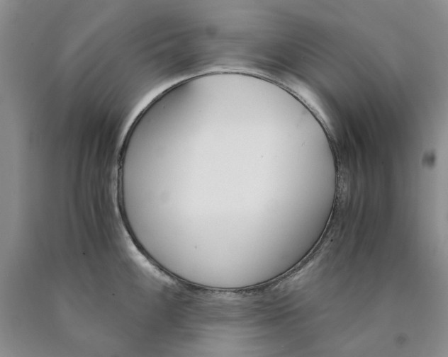 X0000089931100200707271752