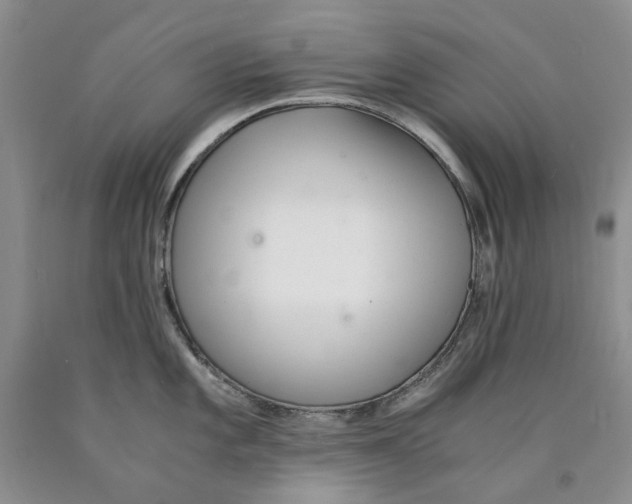 X0000089931101200707271752