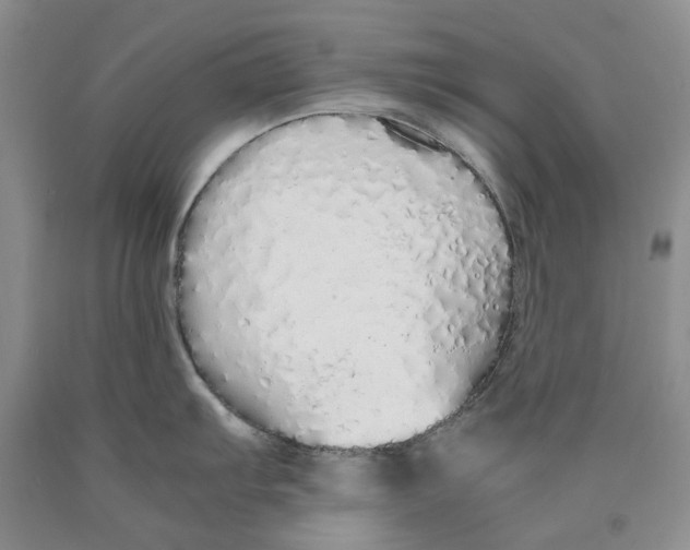 X0000089931103200707271752