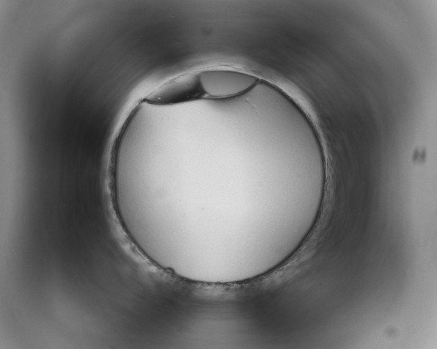 X0000089931104200707271752