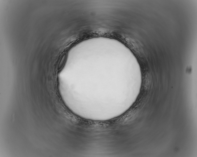 X0000089931105200707271752